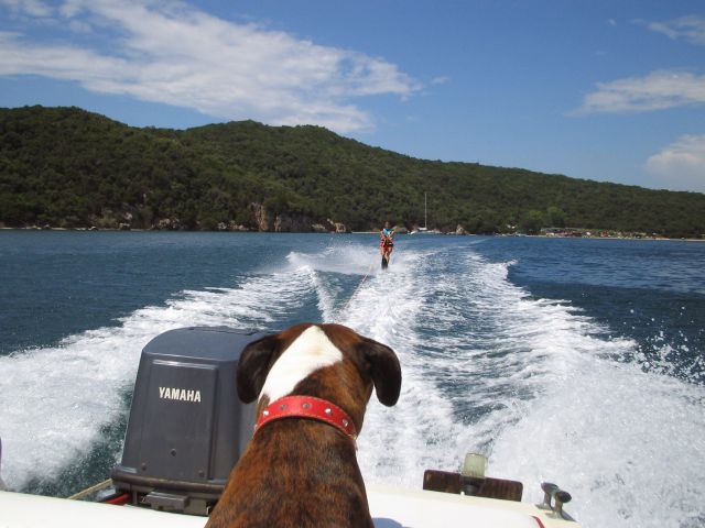 bomba boat