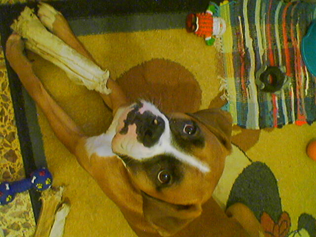 bone time