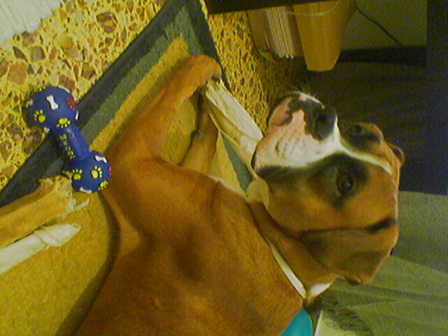 bone time