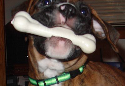 Bone