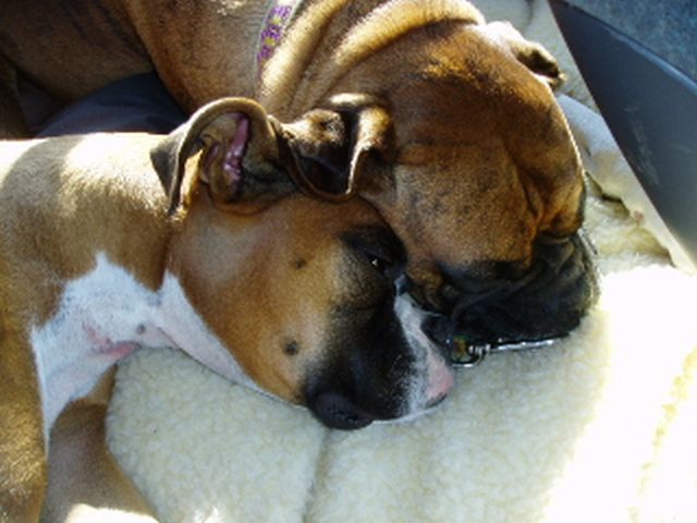 Bonnie and Maxine