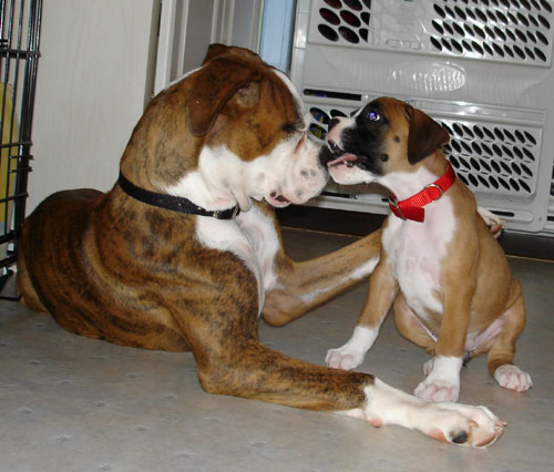 Bonnie meets Buster