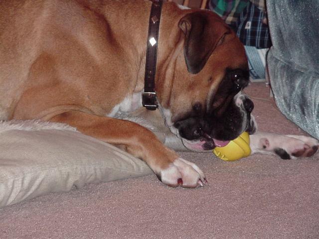 Bono with Ball2