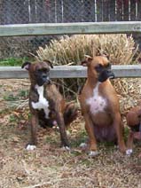 boo&brauner