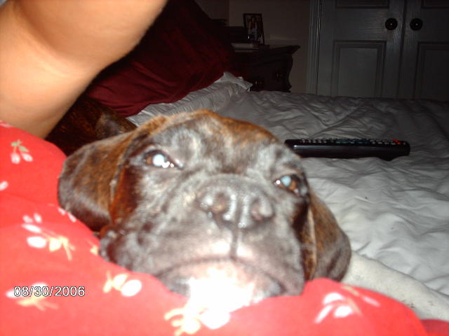 Boodan sleepin on mama