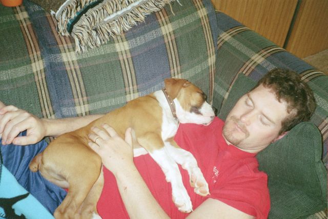 Boomer and DH