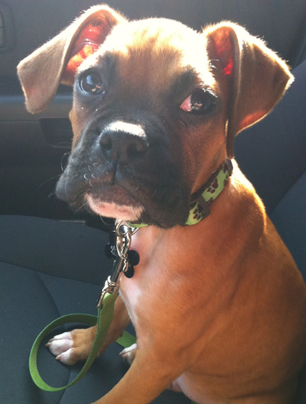 Boone's drive home
