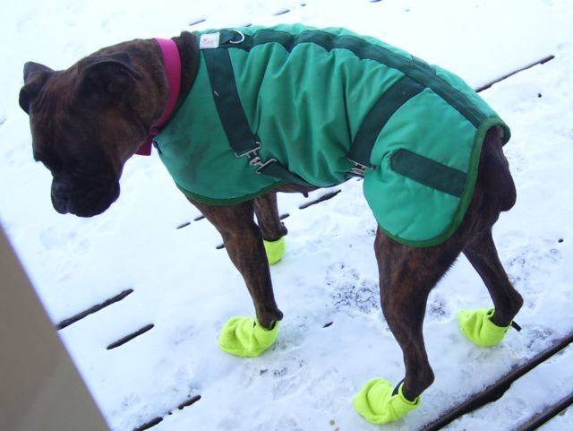 boots
