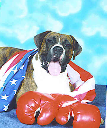 Born in the Usa