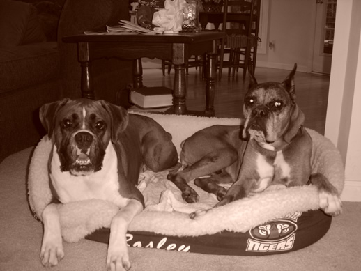 Bosley and Vader