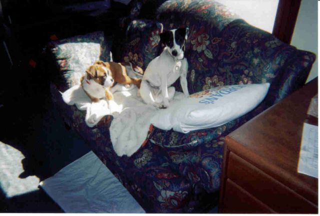Boss_Tray_Couch