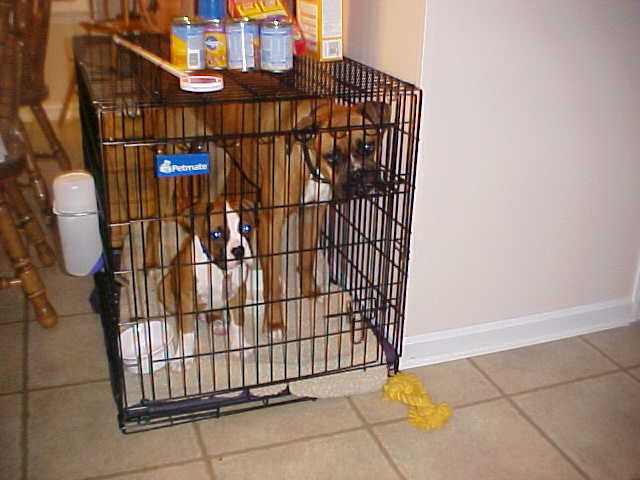Both are in jail now!