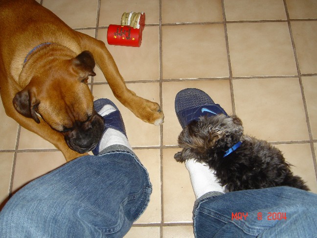 Both biting my sandals
