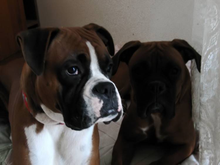 both my babies
