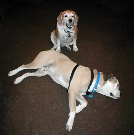 Boudreaux and Gus