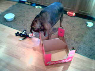 Box