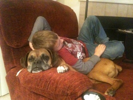 Boxer as pillow