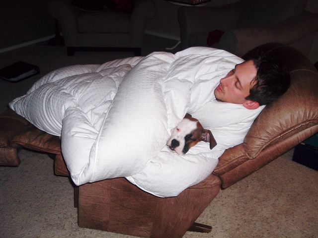 Boxer Burrito