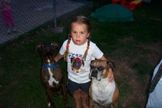 Boxer Crazy!!