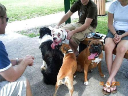 Boxer Luv