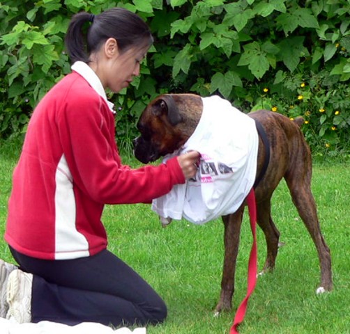 Boxer Picnic June 12, 2005