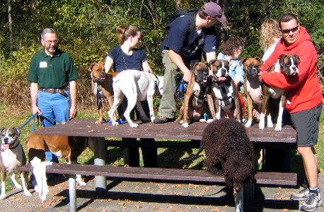Boxer Picnic Oct 3/04