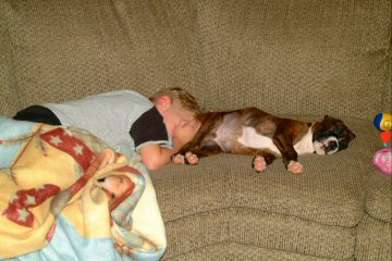 Boxer Pillow