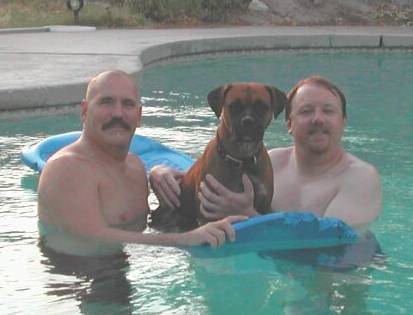 Boxer/pit mix