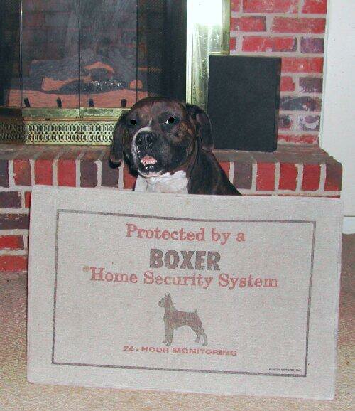 Boxer security