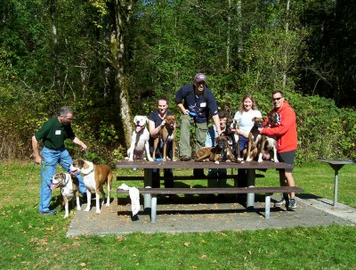 Boxer_gathering7