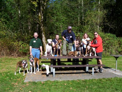 Boxer_gathering8