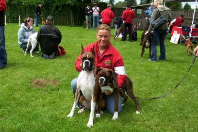 Boxer_picnic10a