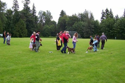 Boxer_picnic11a