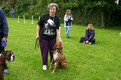 Boxer_picnic12a