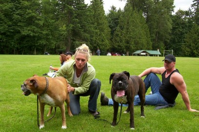Boxer_picnic14a
