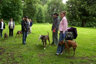Boxer_picnic2a