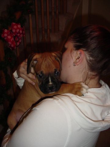 Boxers_025
