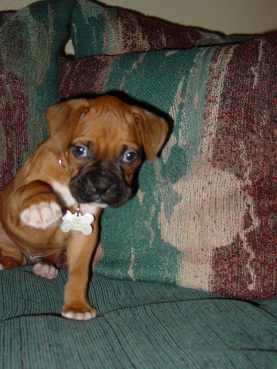 Boxing Practice