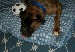 Boy am I pooped!