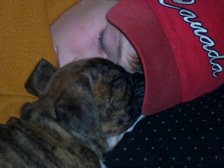 Boy and his pup