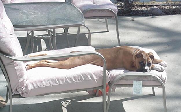 boy- Does this sun feel good!  Spring break 2005