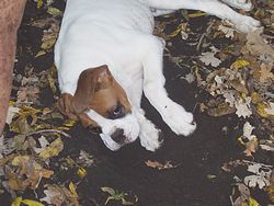 Boy I'm tired from all this diggin!