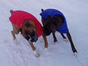 Boys and Their New Coats