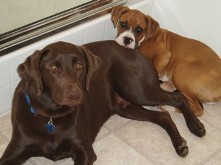 Boys chillin'