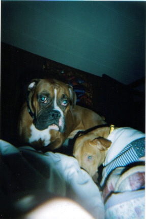 bradie & jewels nap time