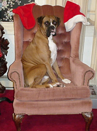 Bradies dad (buddy)