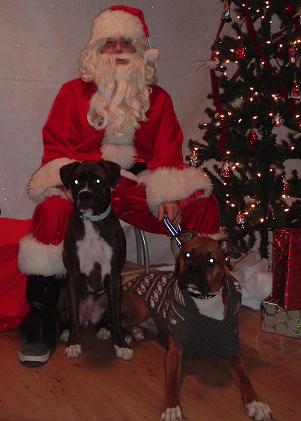 Bradlee and Cylis with Santa