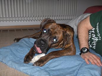 Bradlee's German boyfriend Kaiser