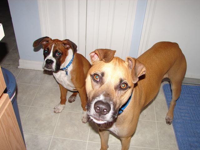 Brady and Kahne