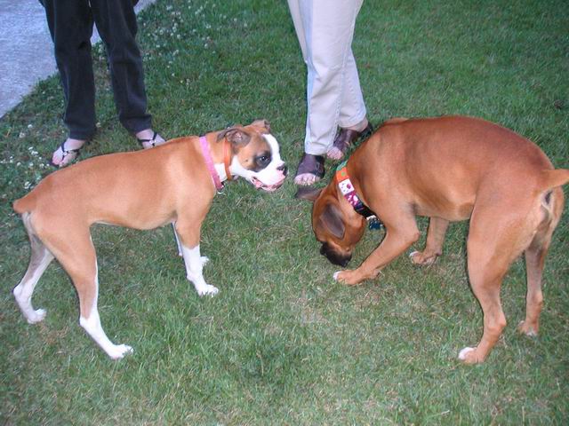 Brady & Lily